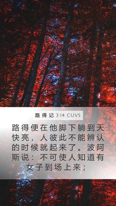 路 得 记 3:14 CUVS Mobile Phone Wallpaper - 路 得 便 在 他 脚 下 躺 到 天 快 亮 - Mobile Bible Verse Wallpaper