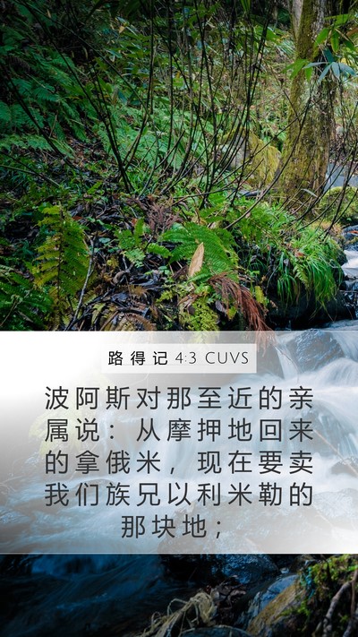 路 得 记 4:3 CUVS Mobile Phone Wallpaper - 波 阿 斯 对 那 至 近 的 亲 属 说 ： - Mobile Bible Verse Wallpaper