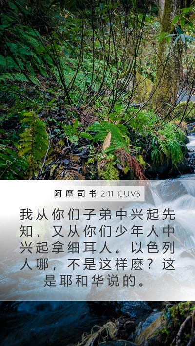 阿 摩 司 书 2:11 CUVS Bible Verse Image
