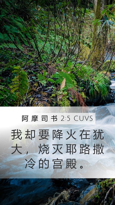 阿 摩 司 书 2:5 CUVS Bible Verse Image