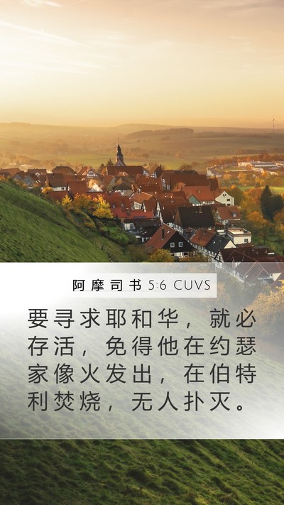 阿 摩 司 书 5:6 CUVS Bible Verse Image