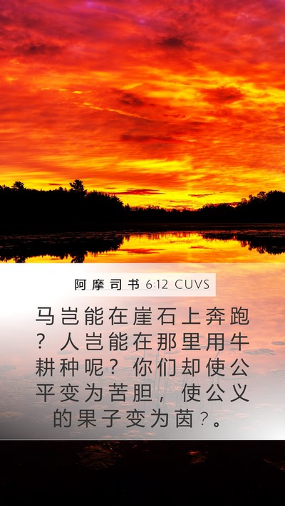 阿 摩 司 书 6:12 CUVS Bible Verse Image