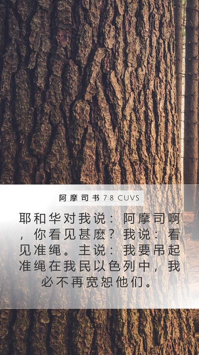 阿 摩 司 书 7:8 CUVS Bible Verse Image