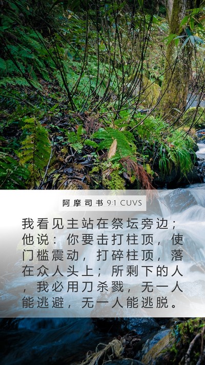 阿 摩 司 书 9:1 CUVS Bible Verse Image