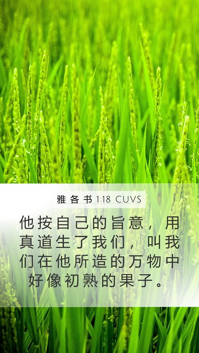 雅 各 书 1:18 CUVS Bible Verse Image