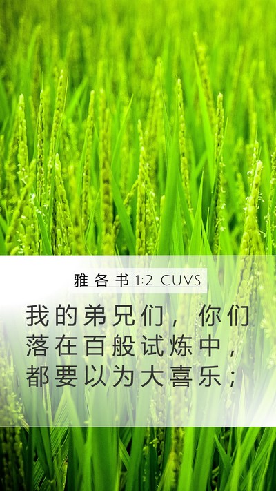 雅 各 书 1:2 CUVS Bible Verse Image