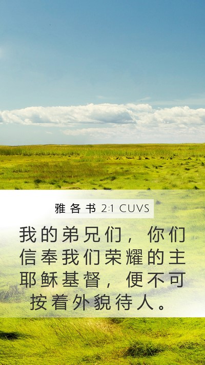 雅 各 书 2:1 CUVS Bible Verse Image