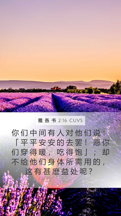 雅 各 书 2:16 CUVS Mobile Phone Wallpaper - 你 们 中 间 有 人 对 他 们 说 ： 「 - Mobile Bible Verse Wallpaper
