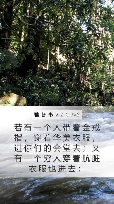 雅 各 书 2:2 CUVS Mobile Phone Wallpaper - 若 有 一 个 人 带 着 金 戒 指 ， 穿 - Mobile Bible Verse Wallpaper