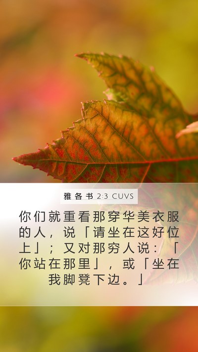 雅 各 书 2:3 CUVS Bible Verse Image