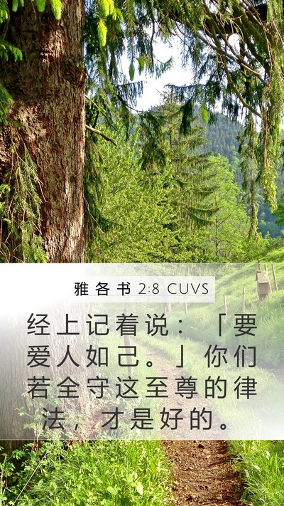 雅 各 书 2:8 CUVS Bible Verse Image