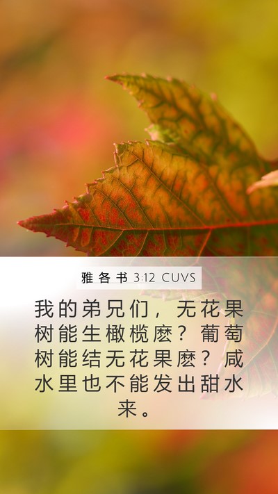 雅 各 书 3:12 CUVS Bible Verse Image