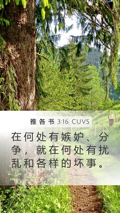 雅 各 书 3:16 CUVS Bible Verse Image