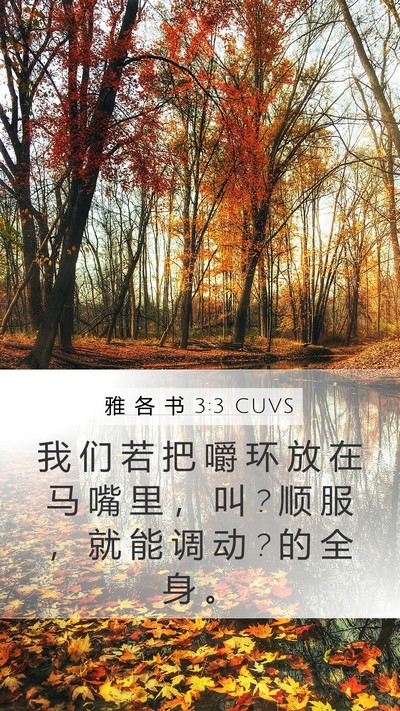 雅 各 书 3:3 CUVS Bible Verse Image