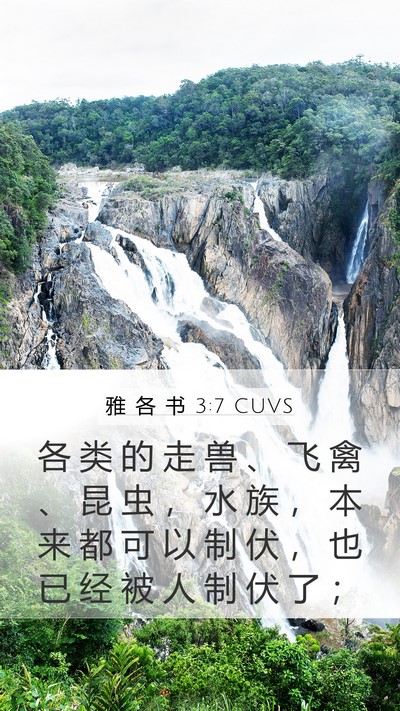 雅 各 书 3:7 CUVS Bible Verse Image