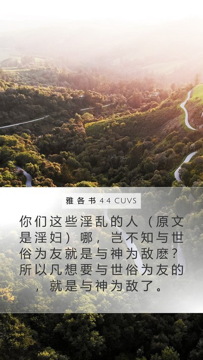 雅 各 书 4:4 CUVS Bible Verse Image