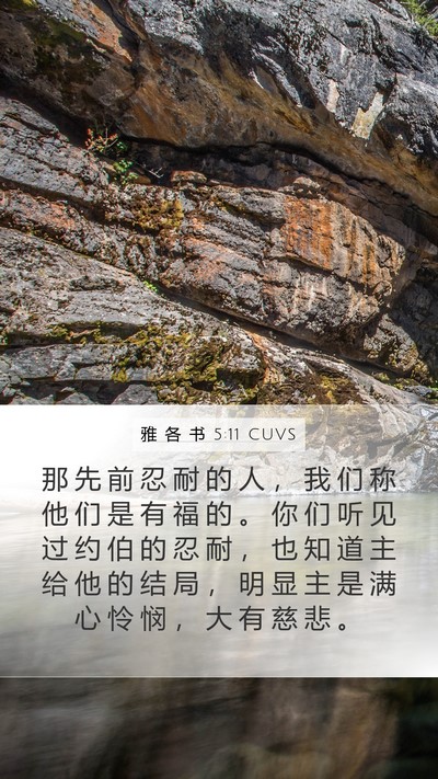 雅 各 书 5:11 CUVS Bible Verse Image
