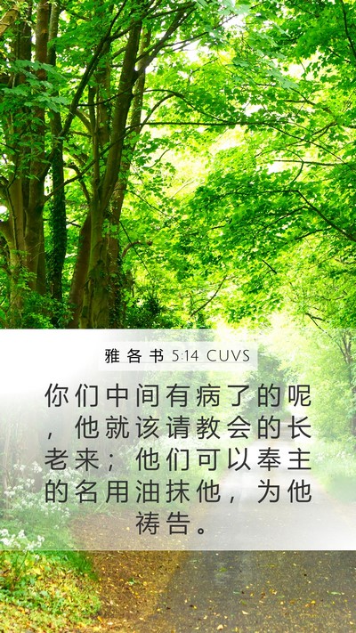 雅 各 书 5:14 CUVS Bible Verse Image