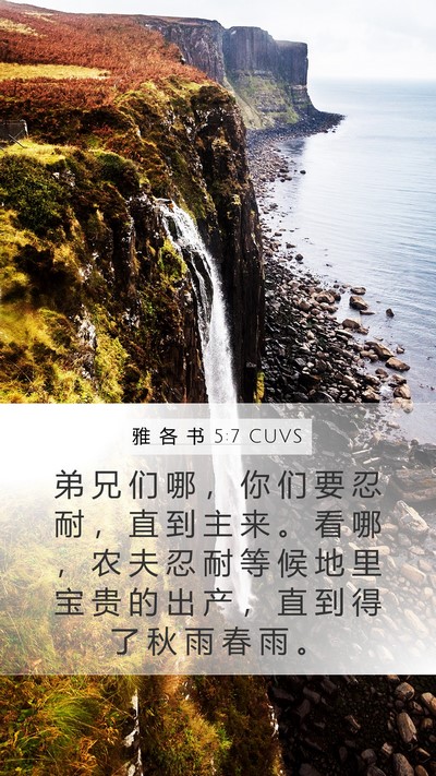 雅 各 书 5:7 CUVS Bible Verse Image