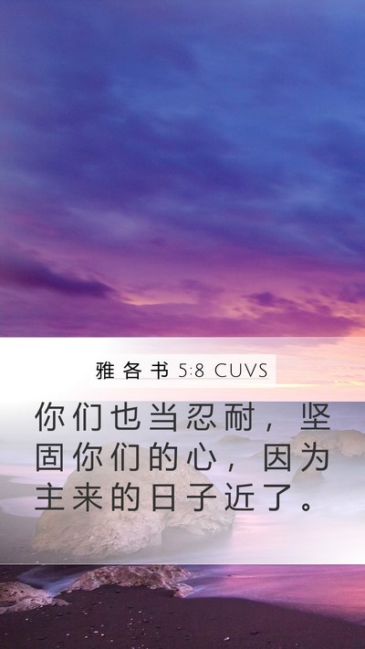 雅 各 书 5:8 CUVS Bible Verse Image