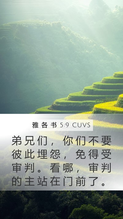 雅 各 书 5:9 CUVS Bible Verse Image