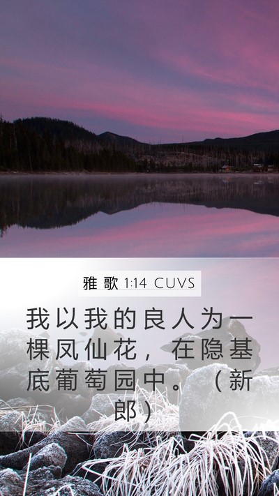 雅 歌 1:14 CUVS Bible Verse Image