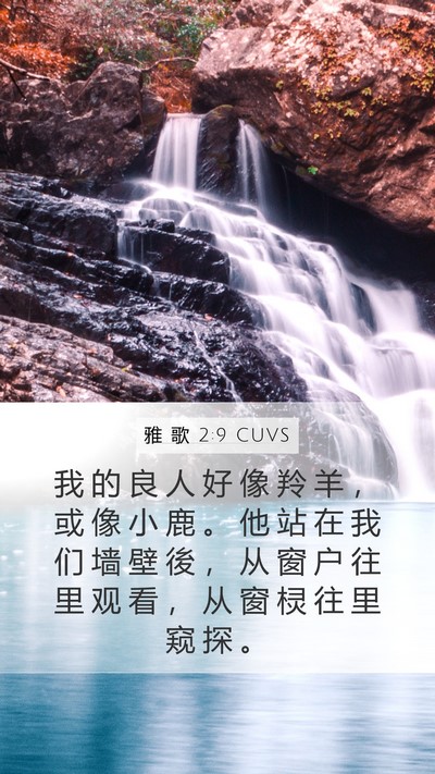 雅 歌 2:9 CUVS Bible Verse Image