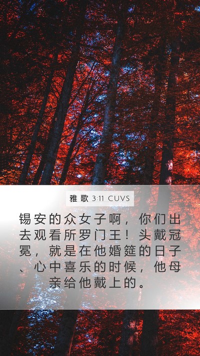 雅 歌 3:11 CUVS Bible Verse Image