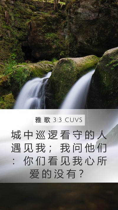 雅 歌 3:3 CUVS Mobile Phone Wallpaper - 城 中 巡 逻 看 守 的 人 遇 见 我 ； - Mobile Bible Verse Wallpaper