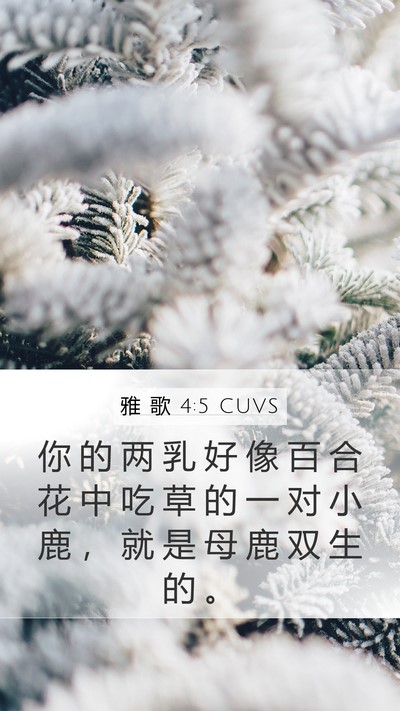 雅 歌 4:5 CUVS Bible Verse Image