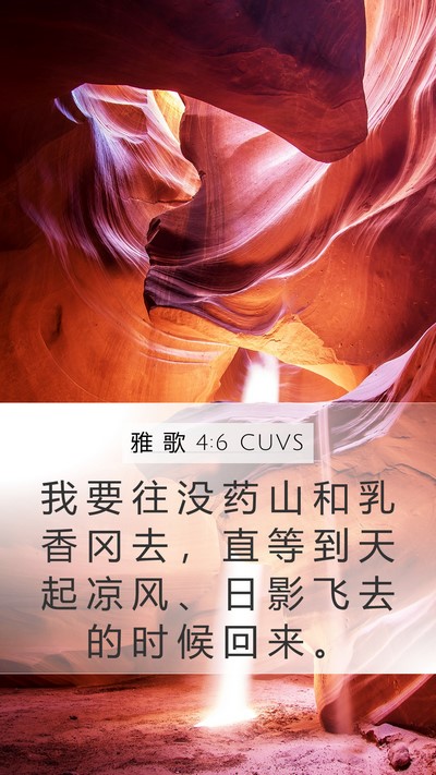 雅 歌 4:6 CUVS Mobile Phone Wallpaper - 我 要 往 没 药 山 和 乳 香 冈 去 ， - Mobile Bible Verse Wallpaper