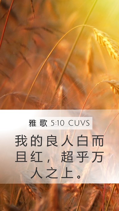 雅 歌 5:10 CUVS Mobile Phone Wallpaper - 我 的 良 人 白 而 且 红 ， 超 乎 万 - Mobile Bible Verse Wallpaper