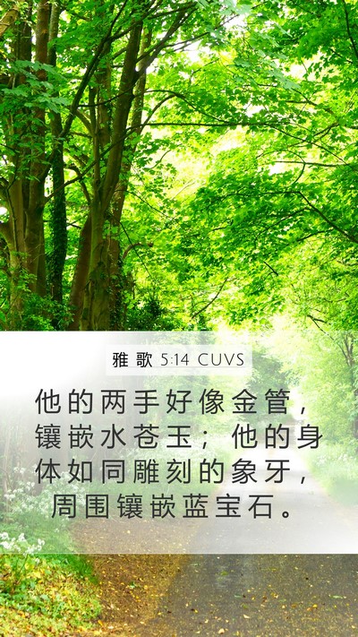雅 歌 5:14 CUVS Bible Verse Image