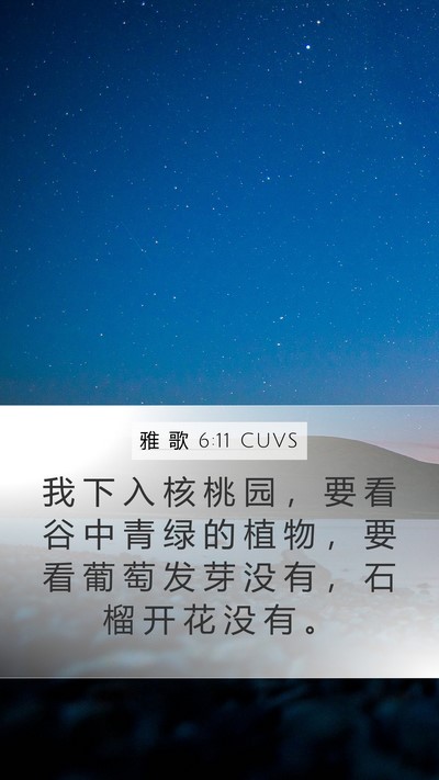 雅 歌 6:11 CUVS Bible Verse Image