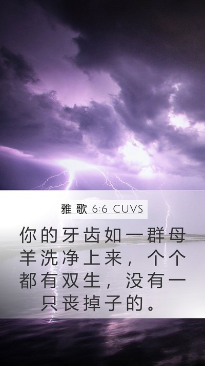 雅 歌 6:6 CUVS Bible Verse Image