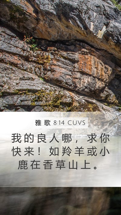 雅 歌 8:14 CUVS Bible Verse Image
