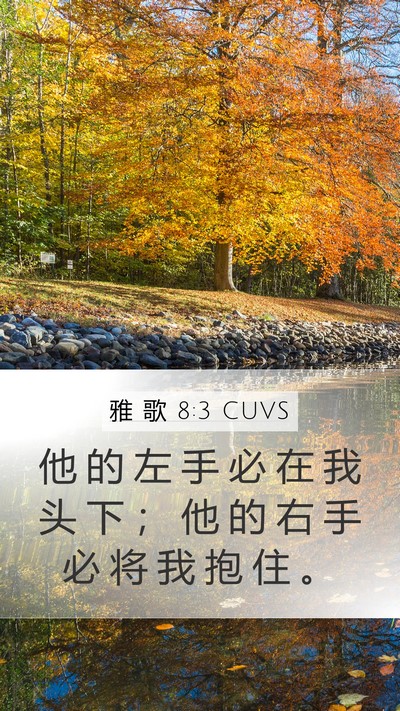 雅 歌 8:3 CUVS Mobile Phone Wallpaper - 他 的 左 手 必 在 我 头 下 ； 他 的 - Mobile Bible Verse Wallpaper
