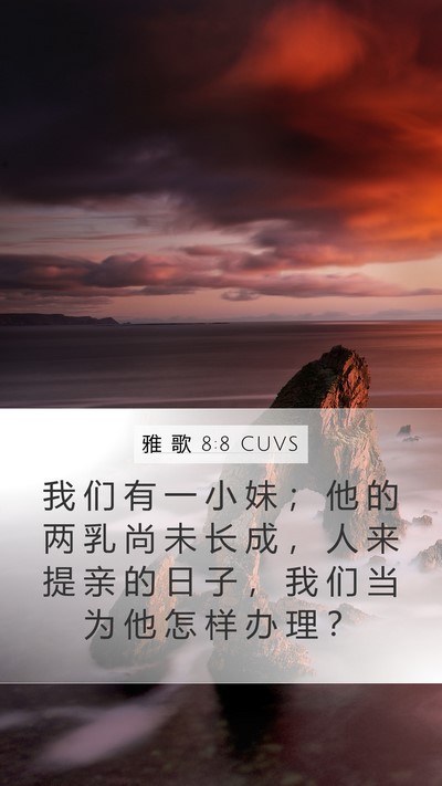 雅 歌 8:8 CUVS Bible Verse Image