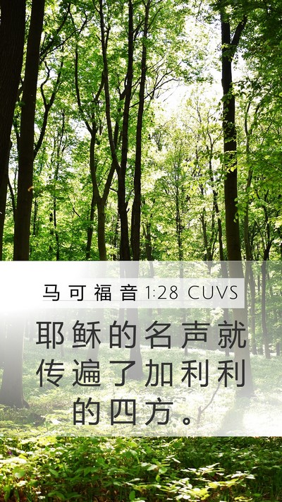 马 可 福 音 1:28 CUVS Bible Verse Image