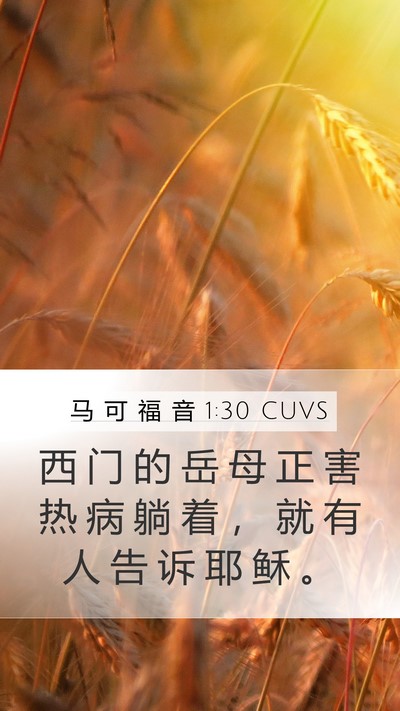 马 可 福 音 1:30 CUVS Mobile Phone Wallpaper - 西 门 的 岳 母 正 害 热 病 躺 着 ， - Mobile Bible Verse Wallpaper