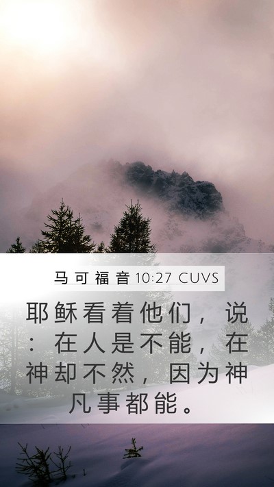 马 可 福 音 10:27 CUVS Bible Verse Image