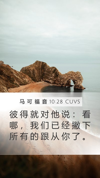 马 可 福 音 10:28 CUVS Bible Verse Image