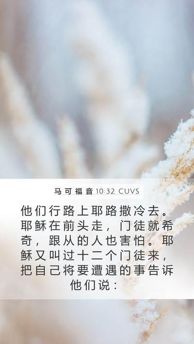 马 可 福 音 10:32 CUVS Bible Verse Image