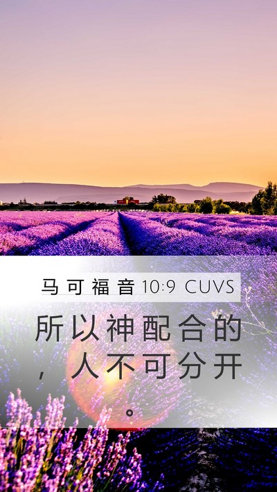 马 可 福 音 10:9 CUVS Bible Verse Image