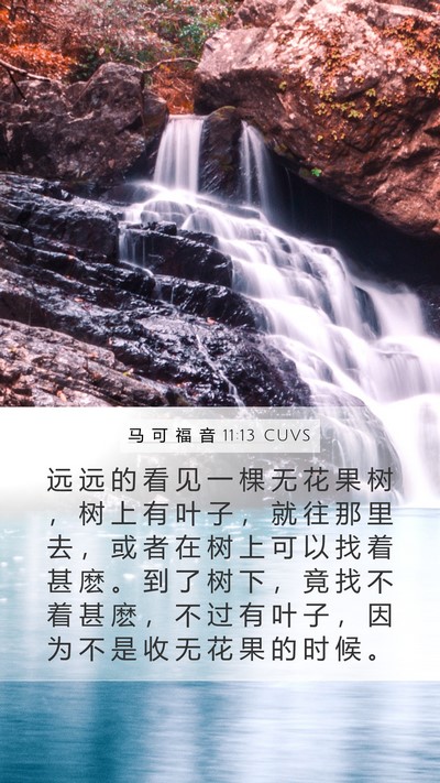 马 可 福 音 11:13 CUVS Mobile Phone Wallpaper - 远 远 的 看 见 一 棵 无 花 果 树 ， - Mobile Bible Verse Wallpaper
