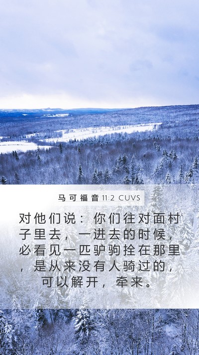 马 可 福 音 11:2 CUVS Bible Verse Image