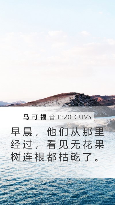 马 可 福 音 11:20 CUVS Bible Verse Image