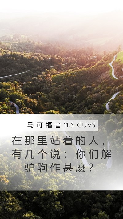 马 可 福 音 11:5 CUVS Mobile Phone Wallpaper - 在 那 里 站 着 的 人 ， 有 几 个 说 - Mobile Bible Verse Wallpaper