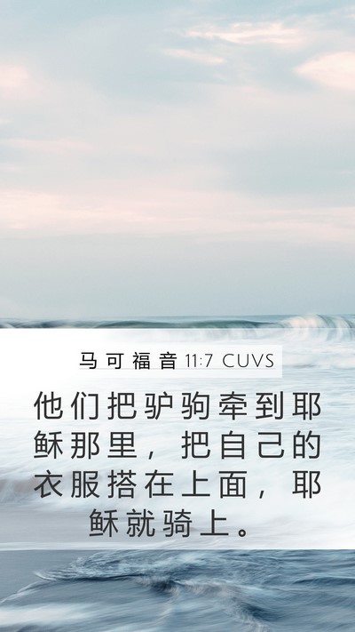 马 可 福 音 11:7 CUVS Mobile Phone Wallpaper - 他 们 把 驴 驹 牵 到 耶 稣 那 里 ， - Mobile Bible Verse Wallpaper