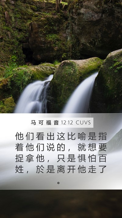 马 可 福 音 12:12 CUVS Bible Verse Image
